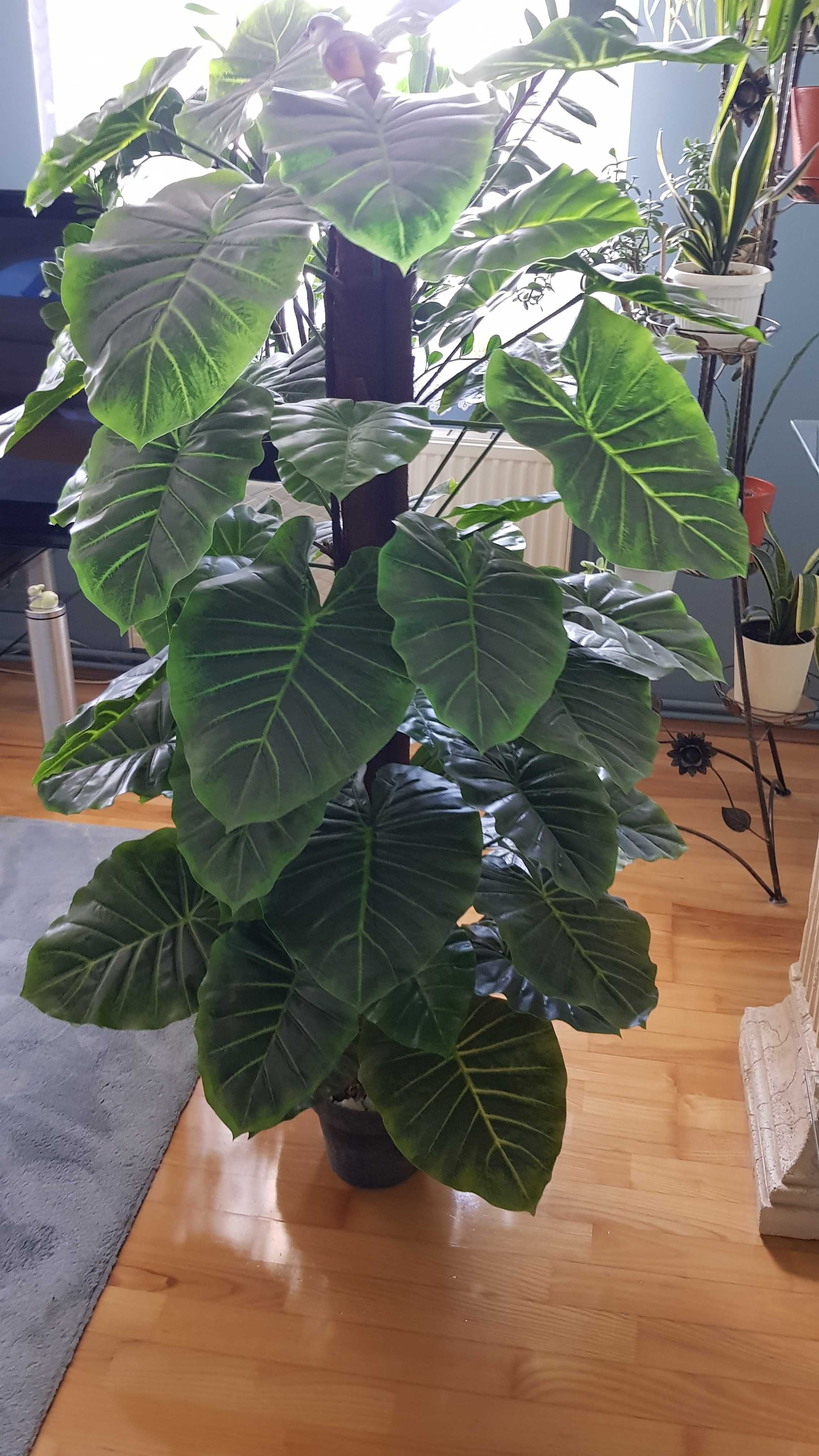 Sztuczny Filodendron – Monstera