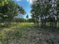 Продаж ділянки 41,54сот з призначенням - ОСГ.Під'їзд грунтовий. ID:734