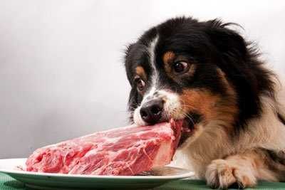 Мясо та субпродукти для собак.Великий ассортимент мясних кормів.