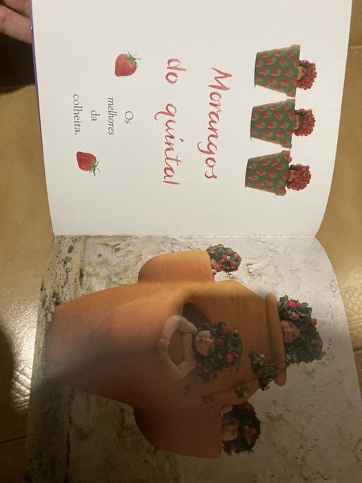 fotografias Botswana e o jardim encantado arpad szenes la piste