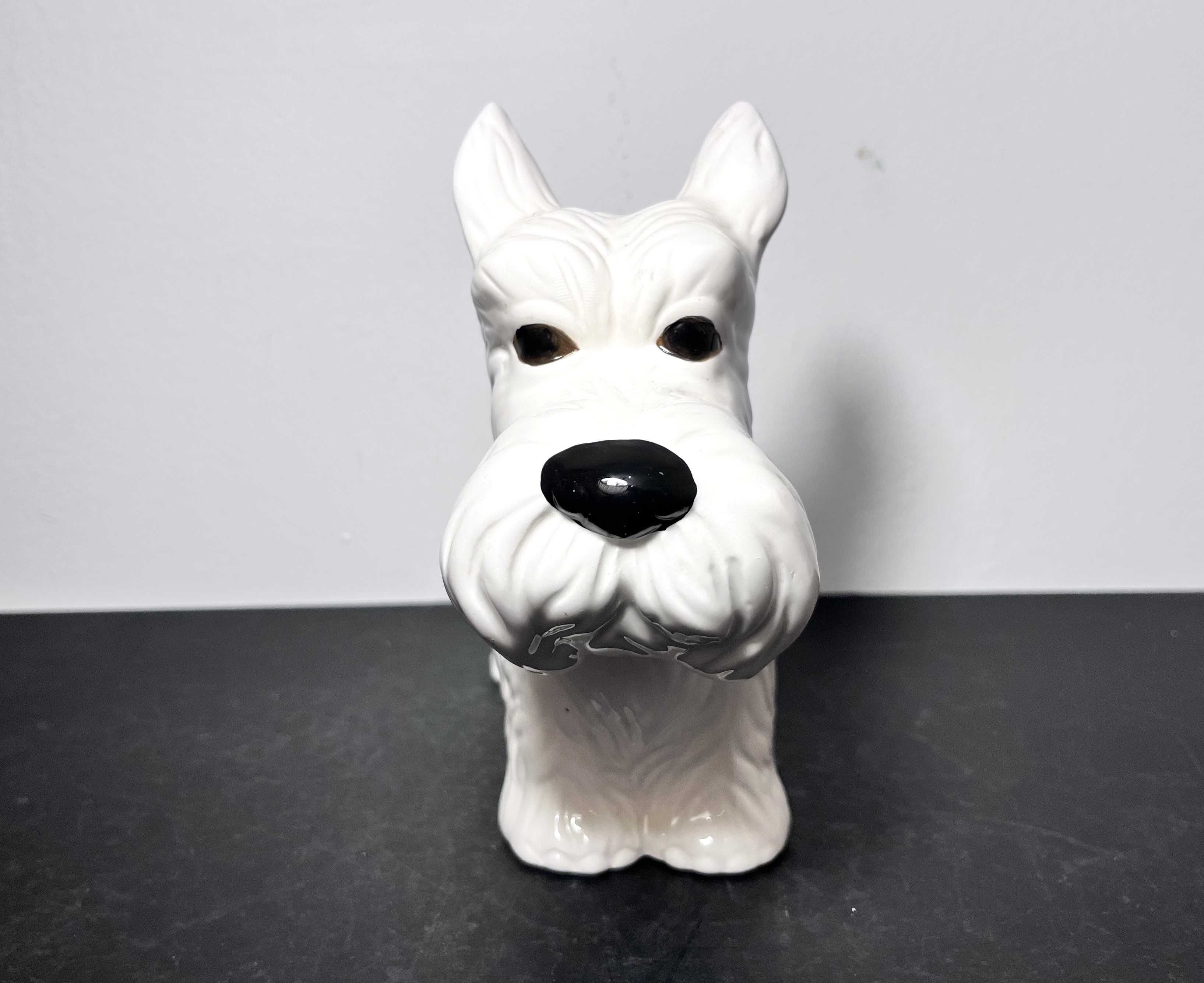 Skarbonka/ figurka ceramiczna Sznaucer!