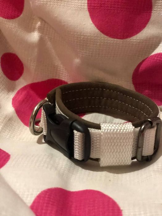 Ошейники банданы ухваты лежанки шлейки мартингейл халти гамаки