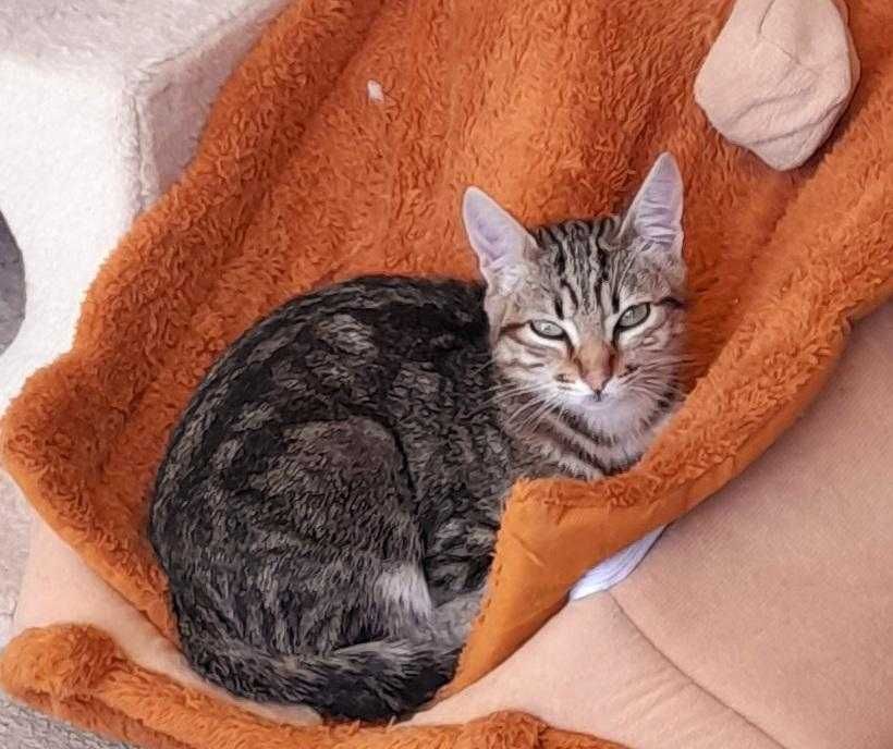 Marco - Procura família 5 estrelas