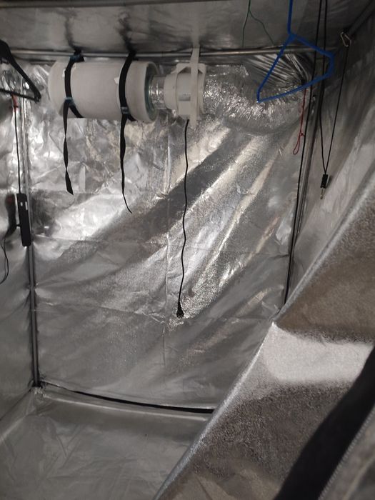 Growroom / Estufa / Growtent