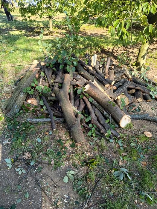 Drewno na opał iwanowice