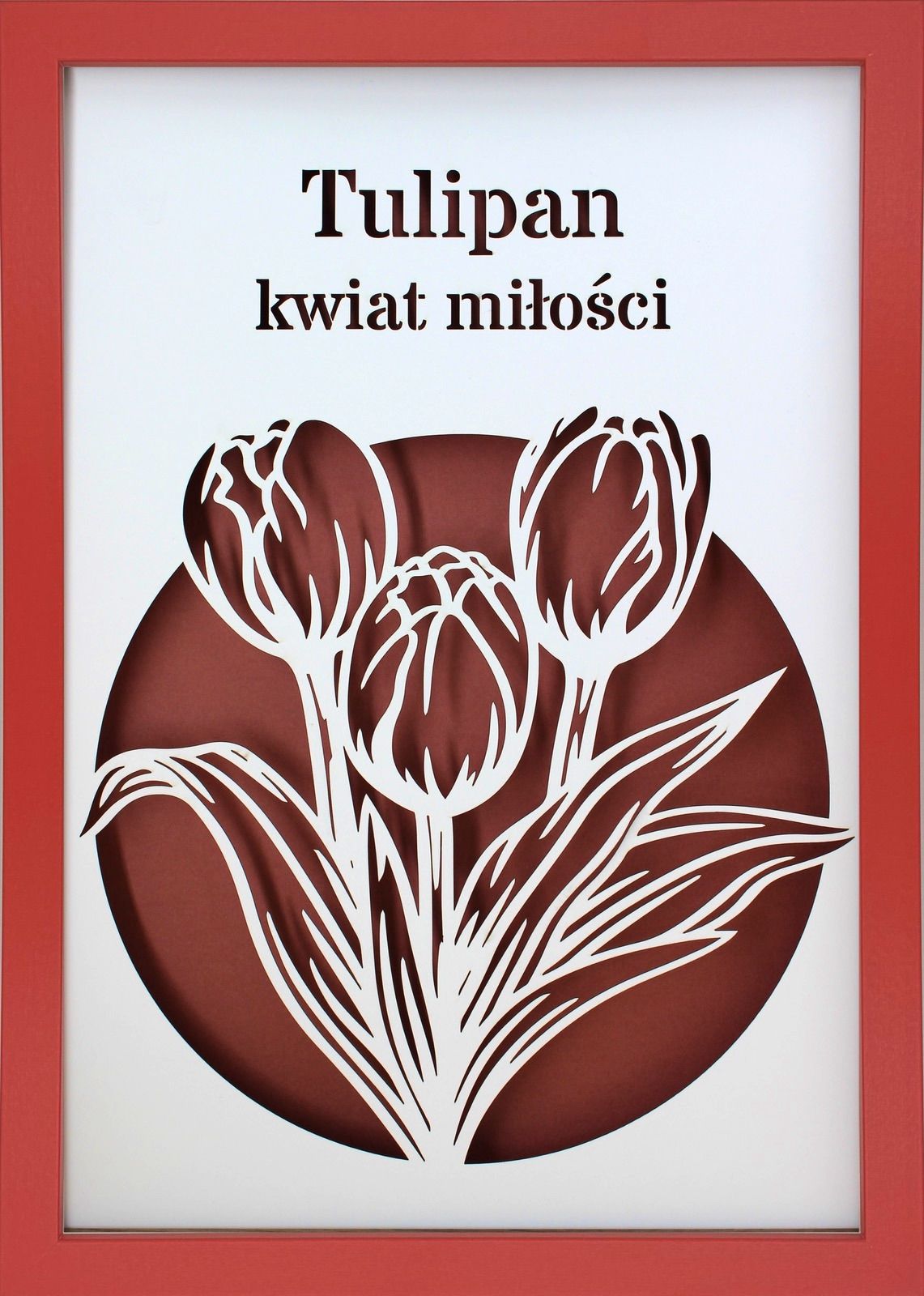 Ramka 3D Shadow Box Tulipan