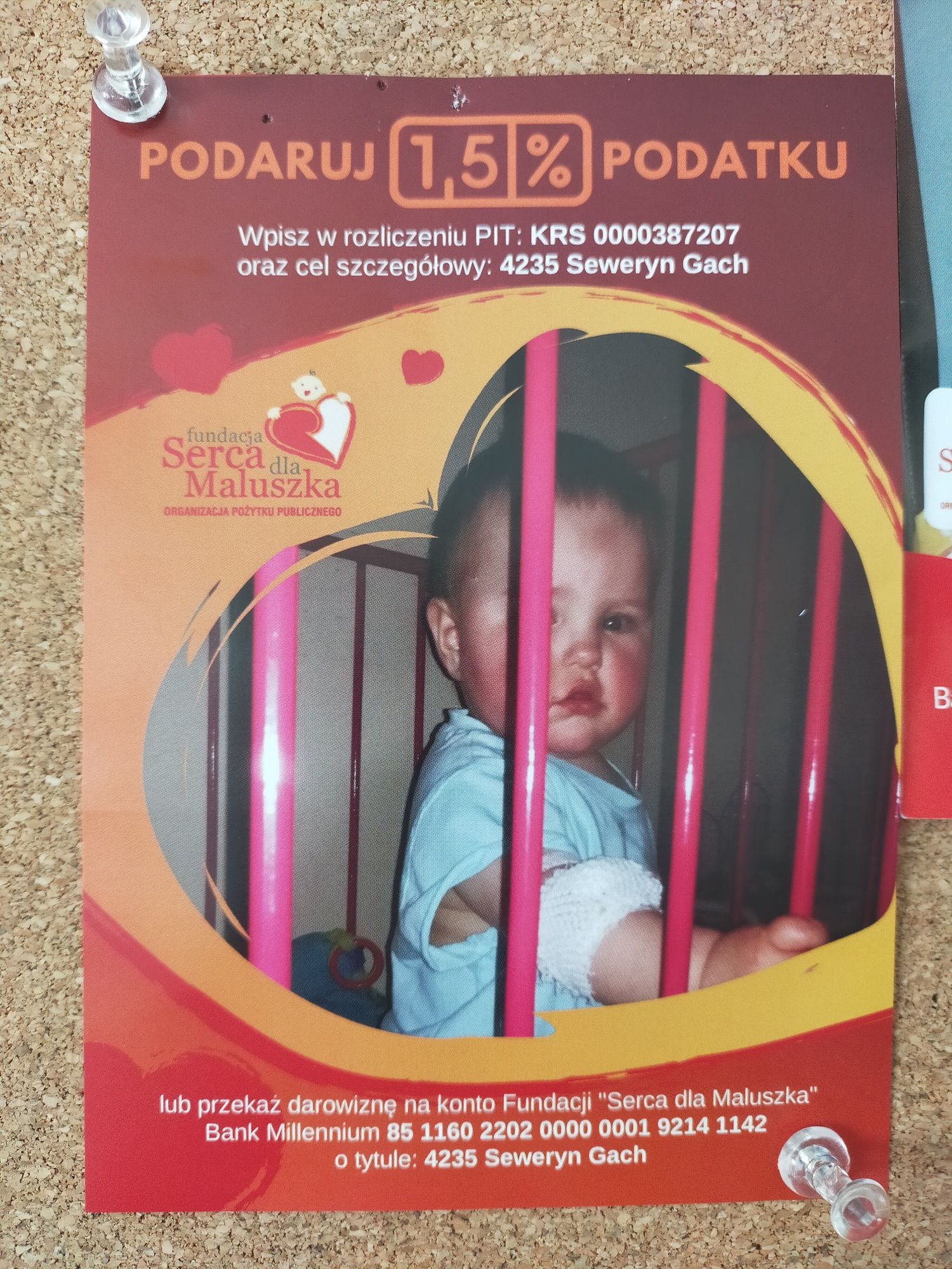 2 poduszki ogrodowe plus wałek pod głowę.