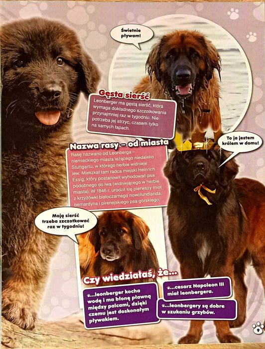 Pimpek dla małych miłośników zwierząt 2/2014