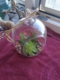 Вазон декоративный, стекляный шар с ростениями, сад в шаре