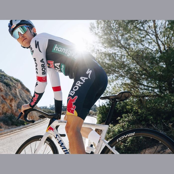 Quadro Specialized S-Works Tarmac SL8 Red Bull - Bora