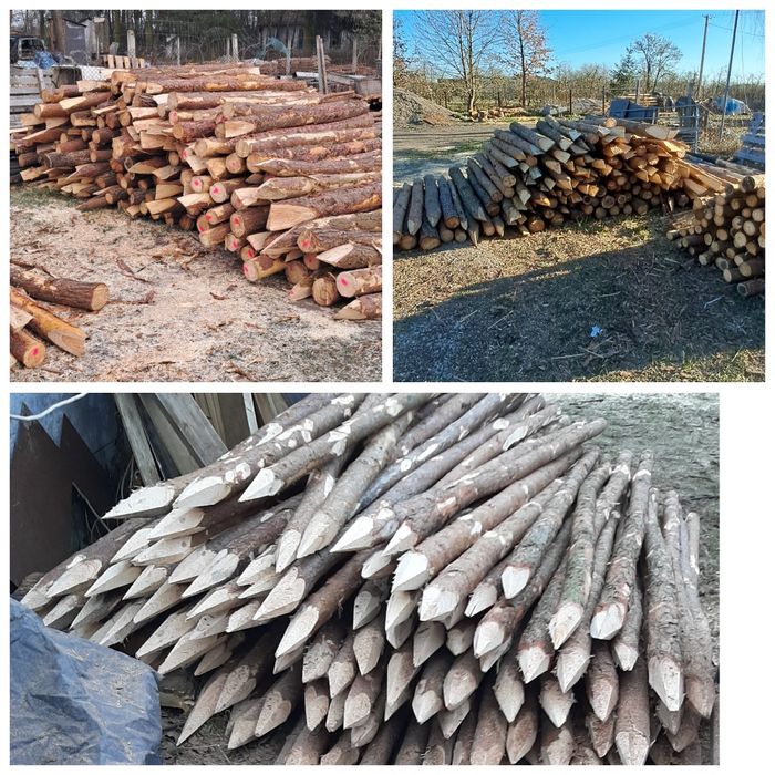 Słupki paliki kołki melioracyjne różne długości okorowane i w korze.