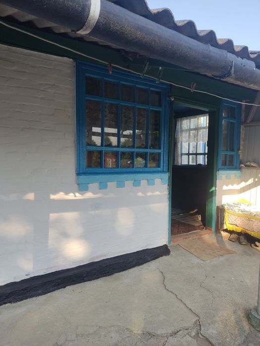 Продам будинок с. Поминик (Вікторівка), Маньківський район