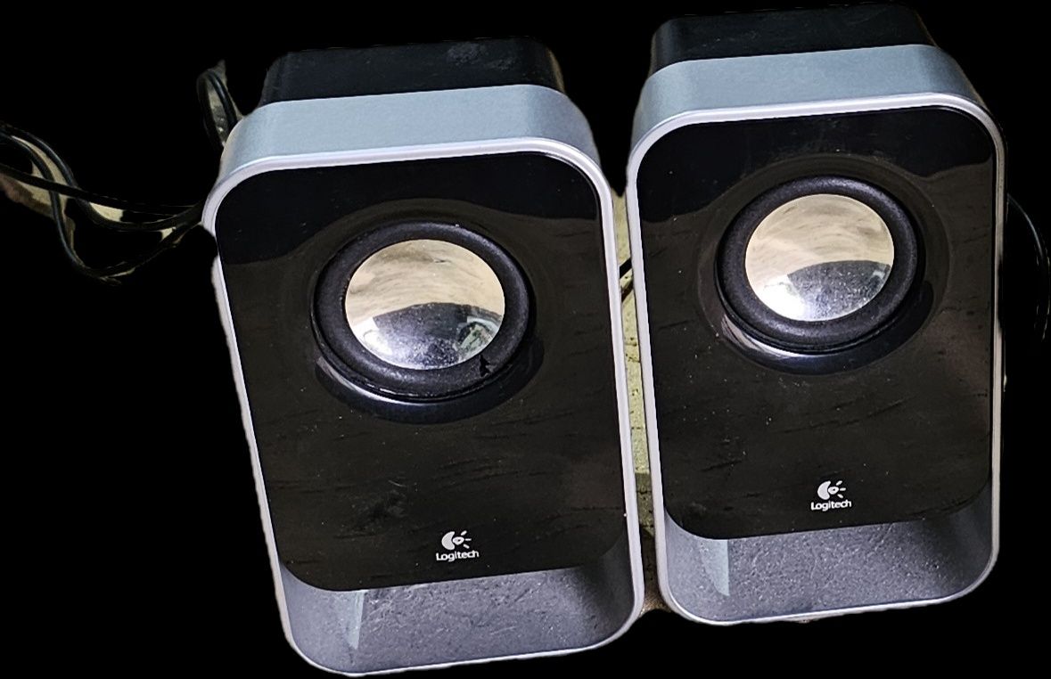 Colunas para computador Logitech LS21