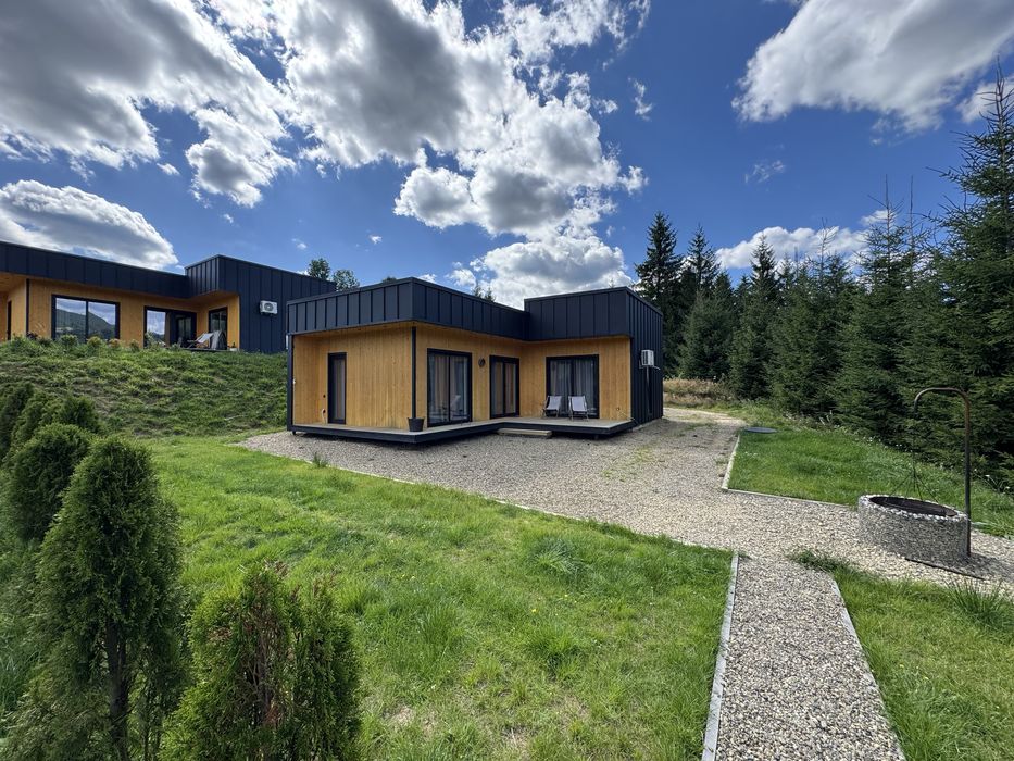 Будинок в Карпатах