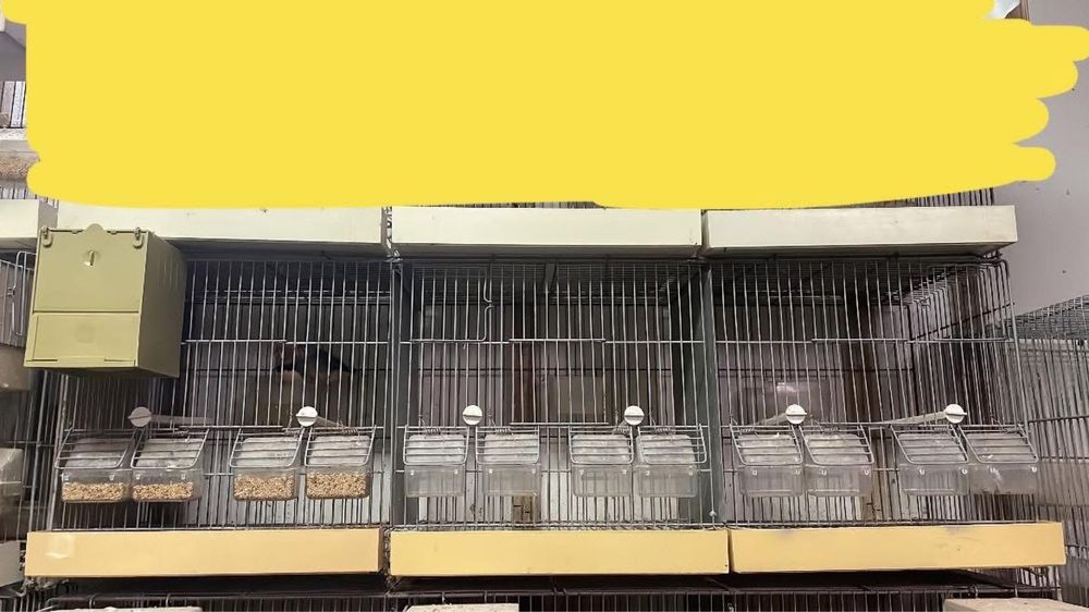 Gaiola de 1,20 com dois casais de periquitos