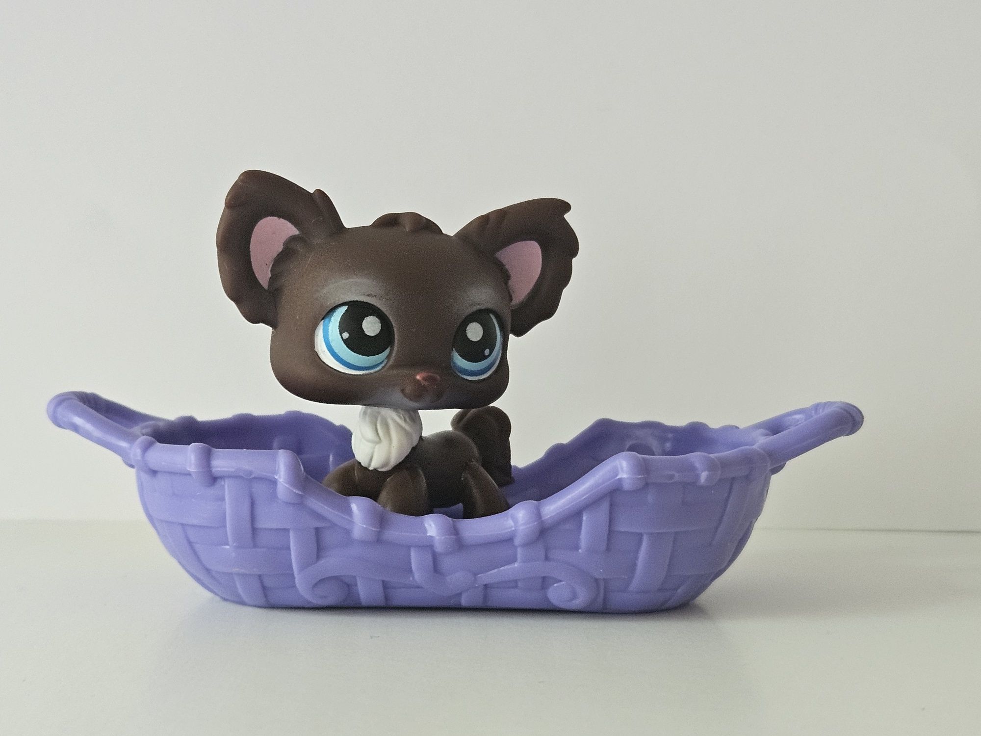 Chihuahua Lps i  sofa Lps