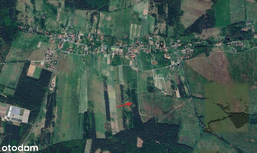 Grunt Rolny Działka Rolna pod lasem Miłogostowice