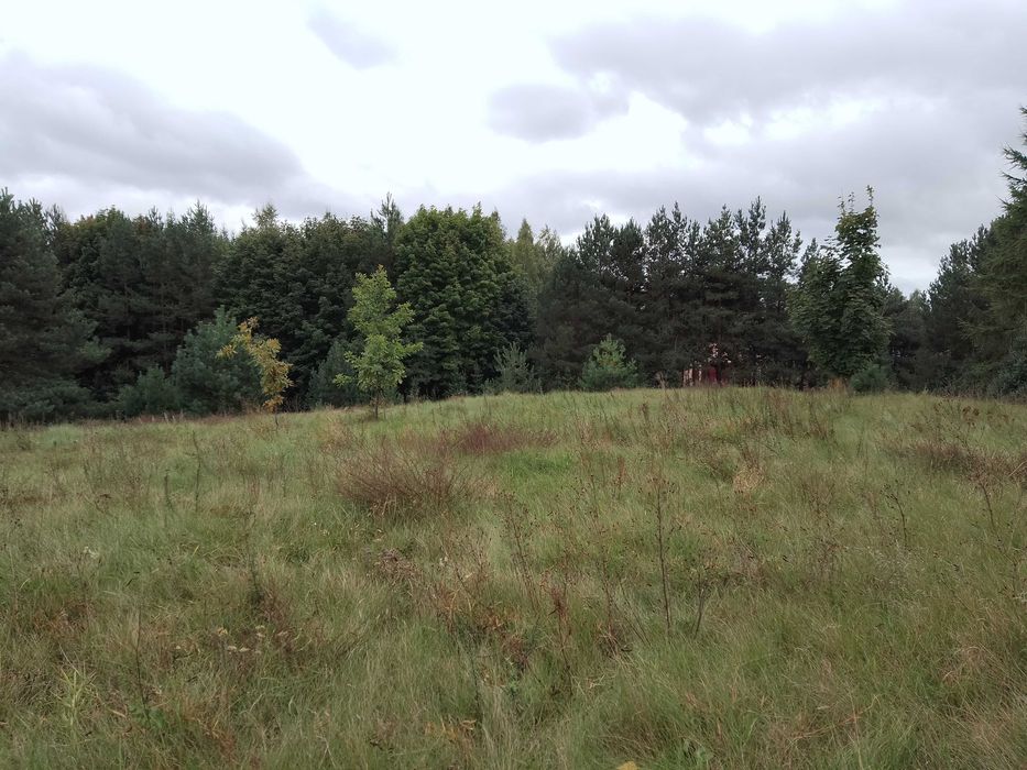 Działka 7135 m2 mieszkalno-usługowa z WZ o powierzchni zabudowy 850m2