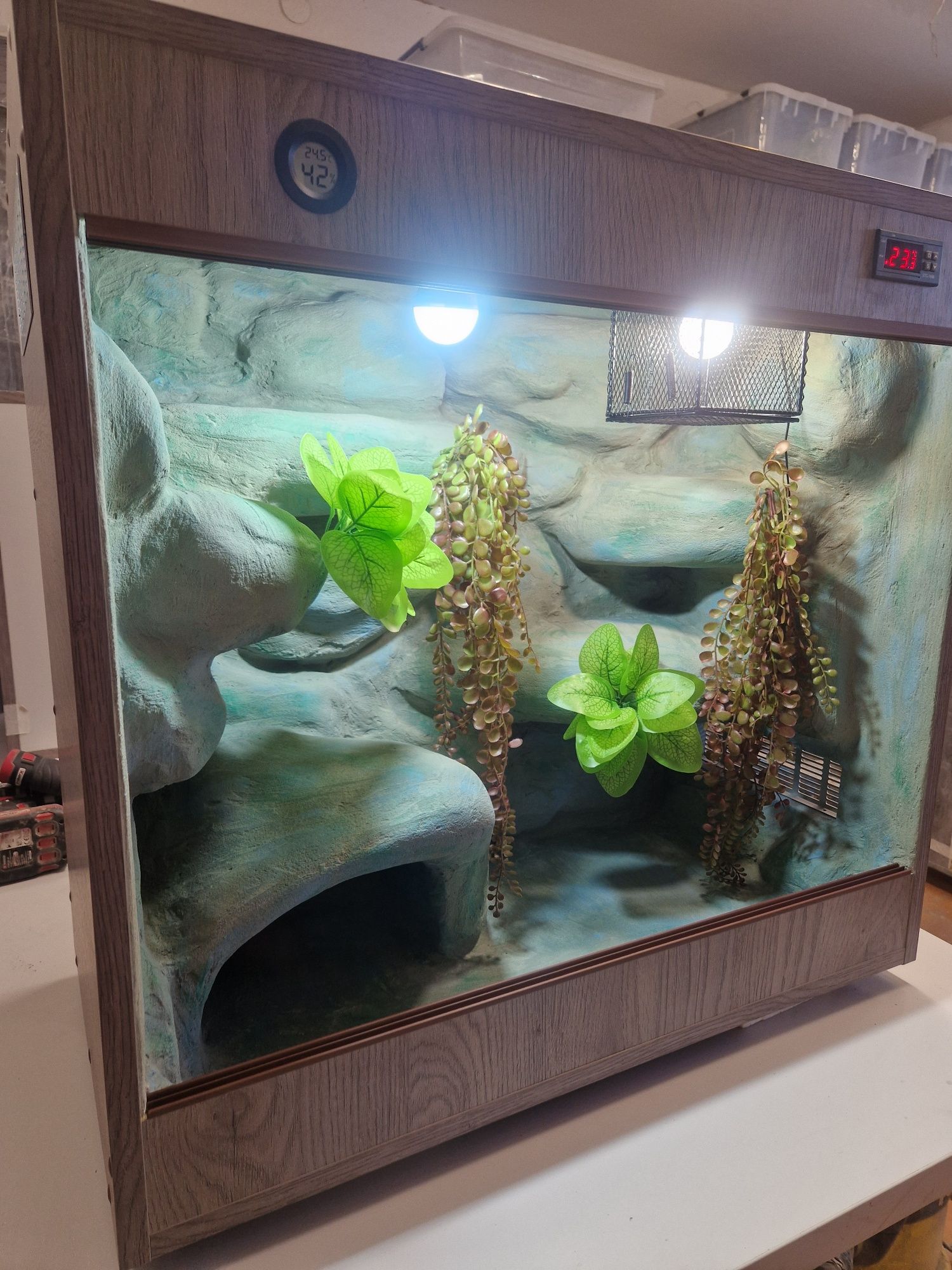 Dostępne terrarium dla węża gekona orzęsionego 75x40x70 gwarancja