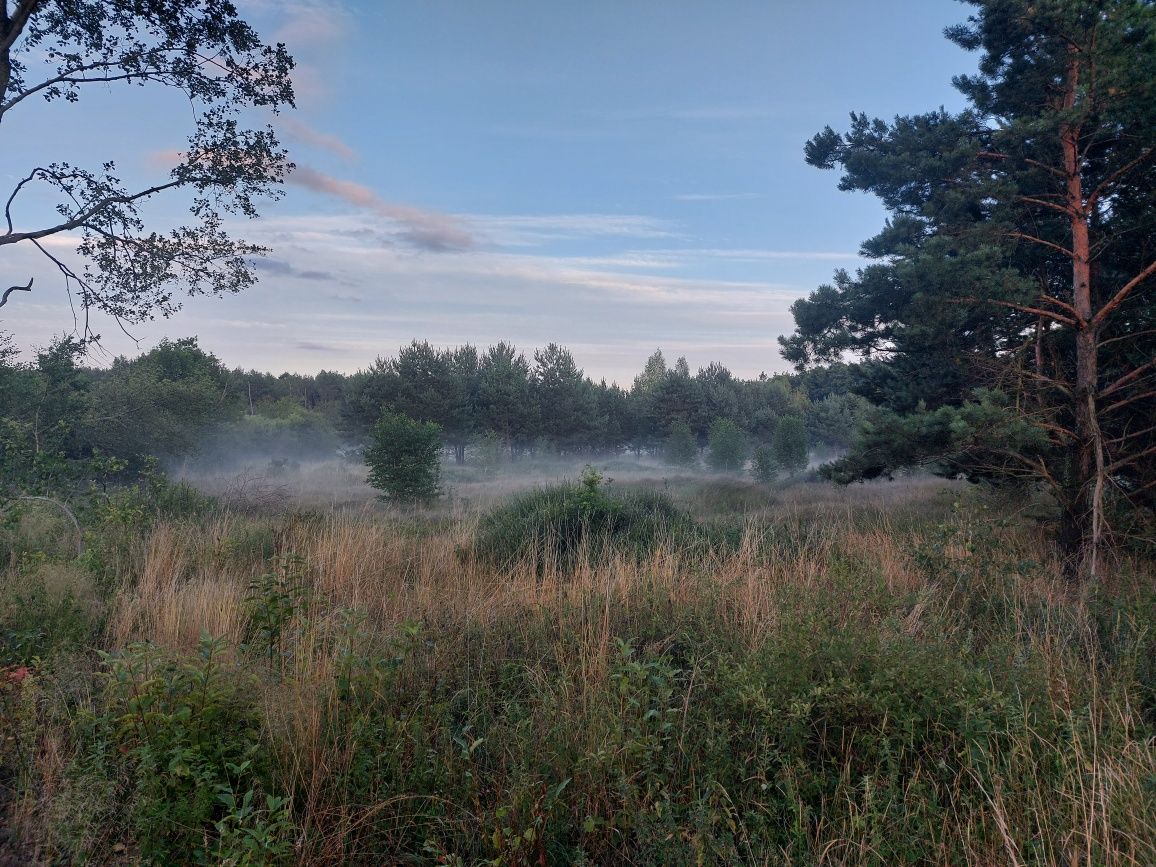 Flora i Sauna Dom do wynajęcia 10 osób