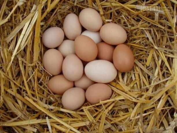 Яйця курячі домашні.