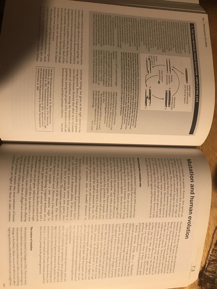 Livro “The Cambridge Encyclopedia of Human Evolution”