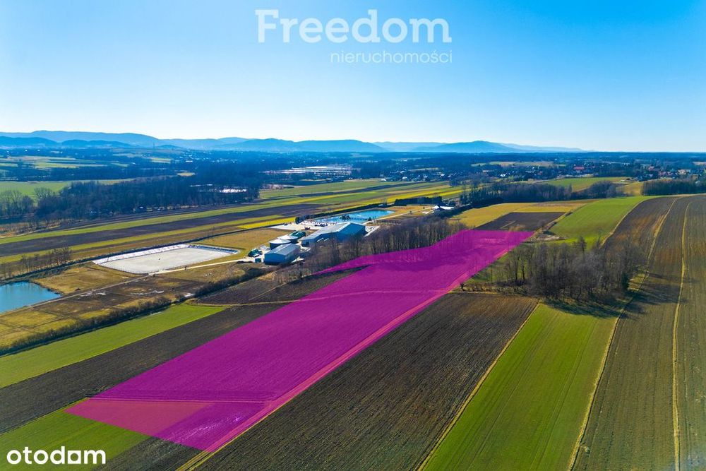 Duża widokowa działka z możliwością podziału!