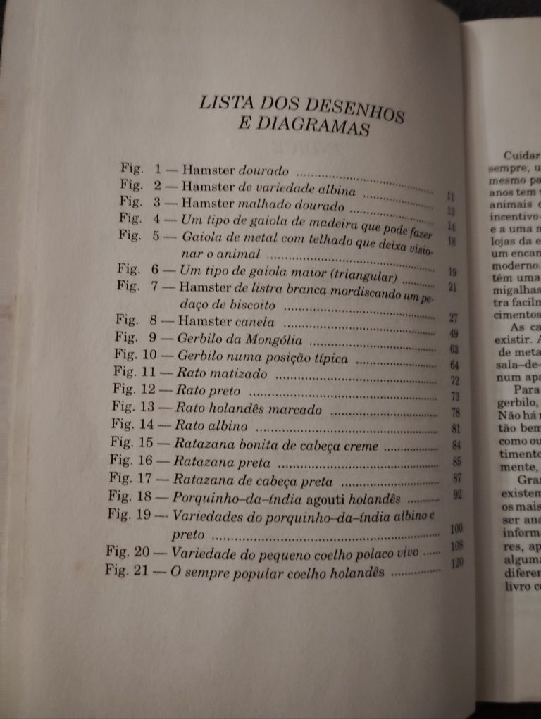 Livro A Criação de Hamsters Usado