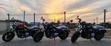 BENDA Chinchilla BD300 Sporty