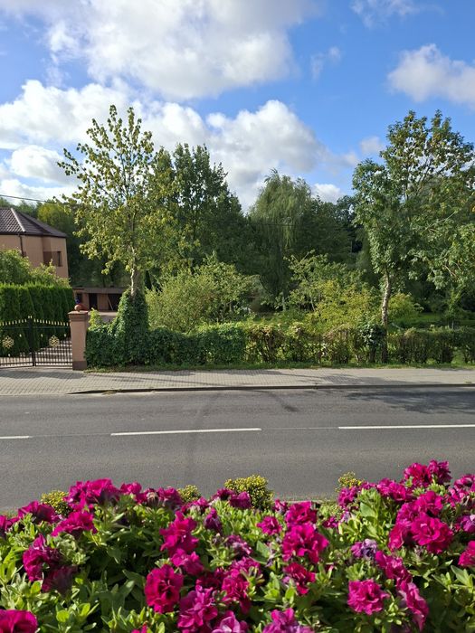 Mieszkanie bezczynszowe 96 metrów