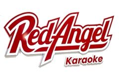 Podkłady karaoke świąteczne Red Angel pl