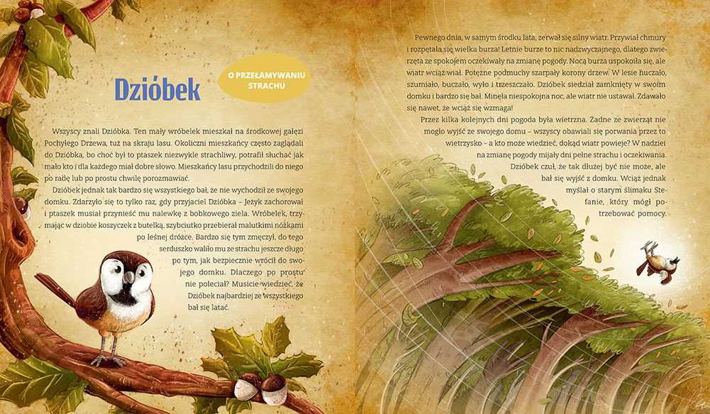 KSIĄŻKA Mądre bajki wydanie specjalne GREG AGNIESZKA ANTOSIEWICZ