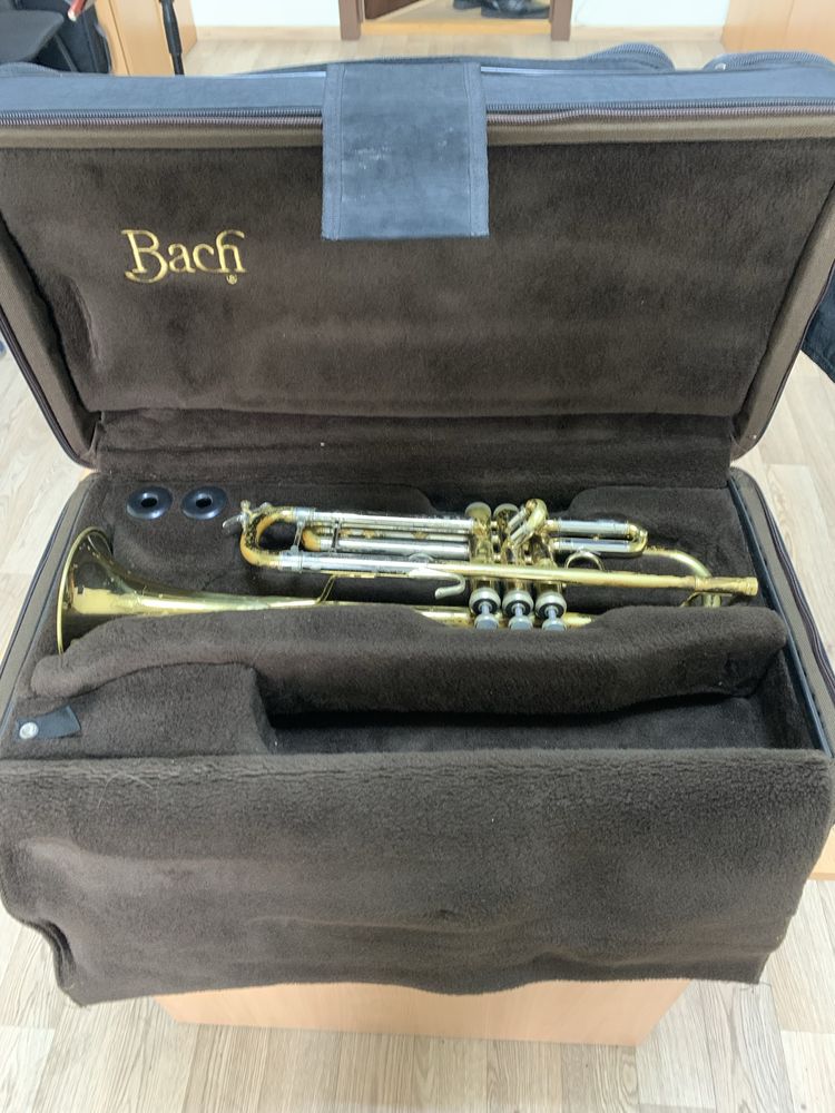 Музичний інструмент Труба Vintsent Bach 37