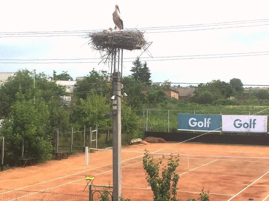 Большой теннис Кропивницкий, Черняховка, теннисные корты "На Приречном