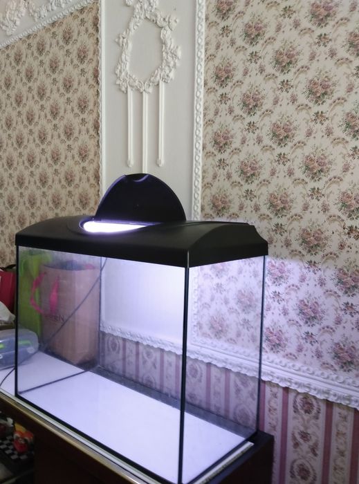Акваріум для рибок