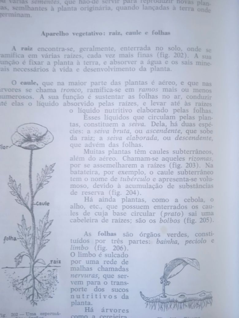 Ciências Físico-Naturais