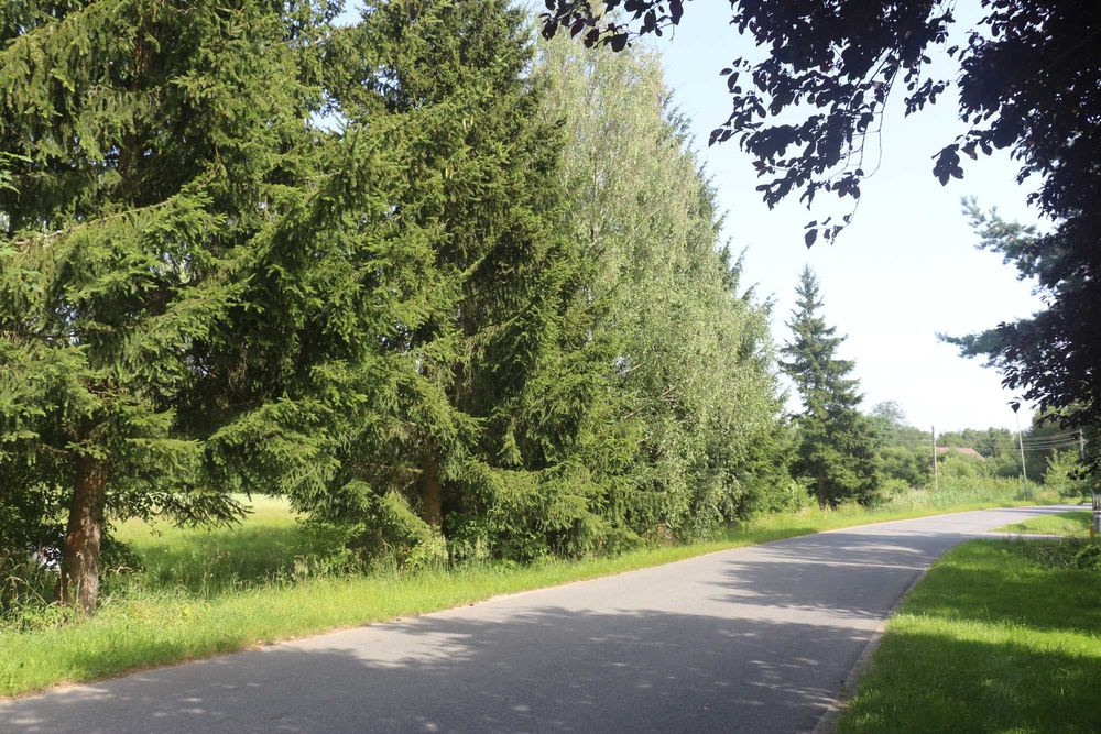 Kotlina Kłodzka ziemia rolna