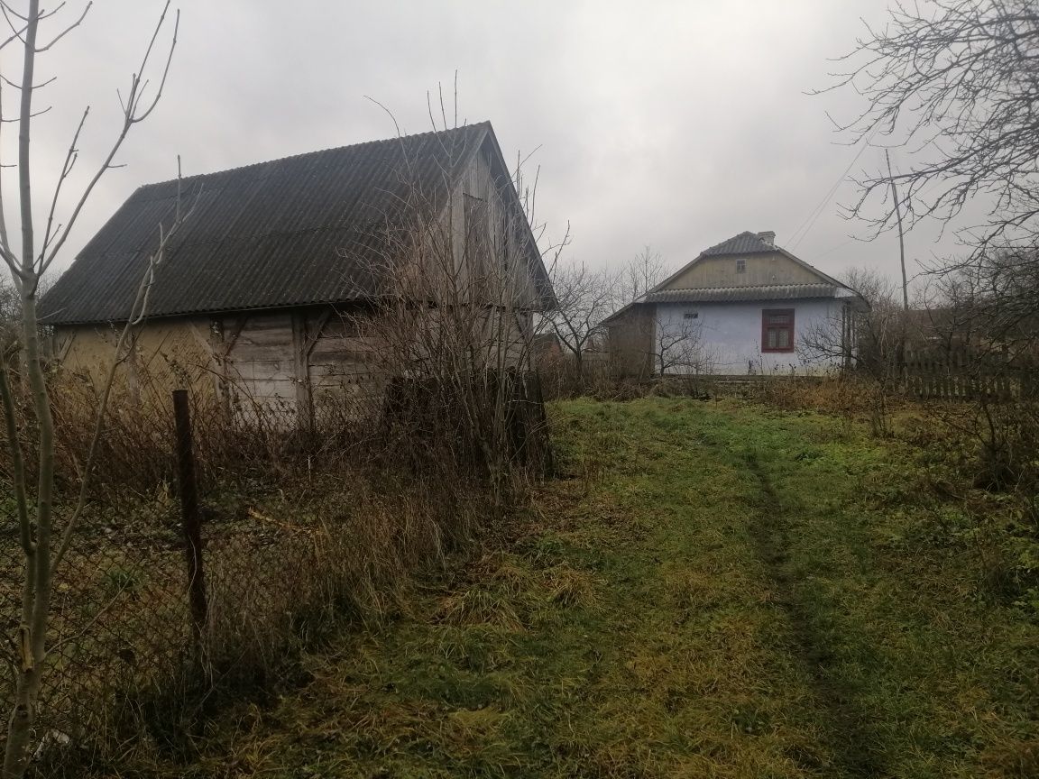 Хата в селі Оглядів