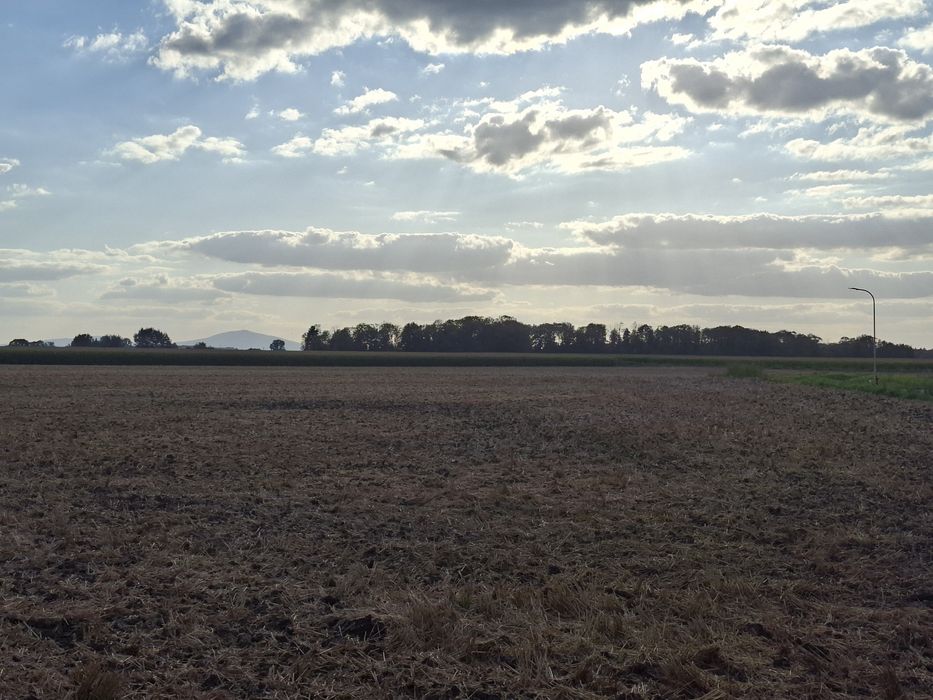 Działka budowlana Polakowice