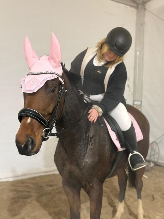 PILNA SPRZEDAŻ!! WĘBITA – Marzenie młodej amazonki