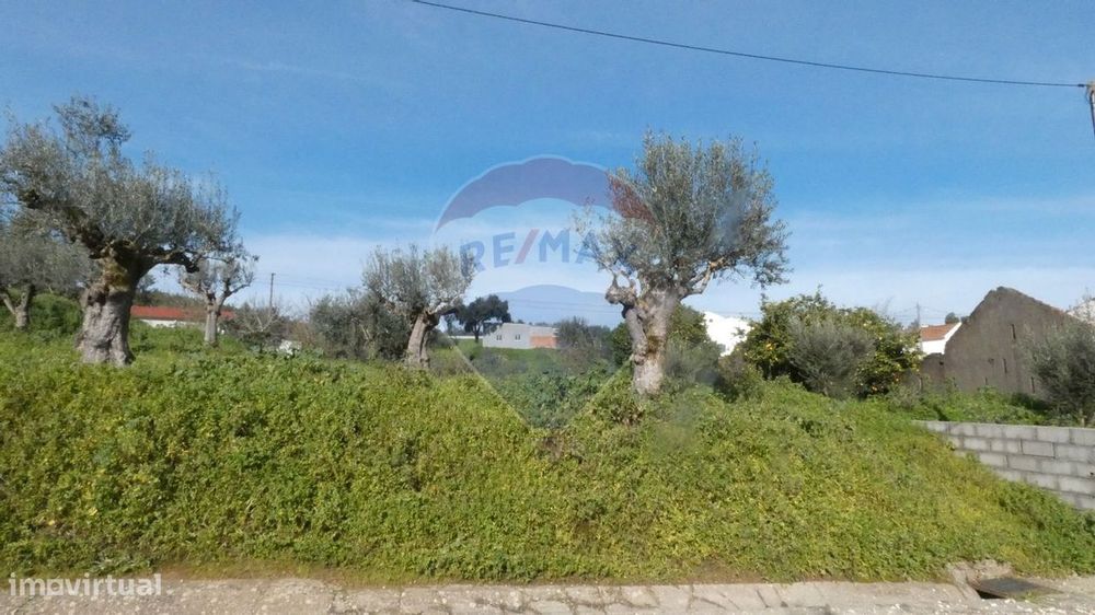 Terreno  para venda