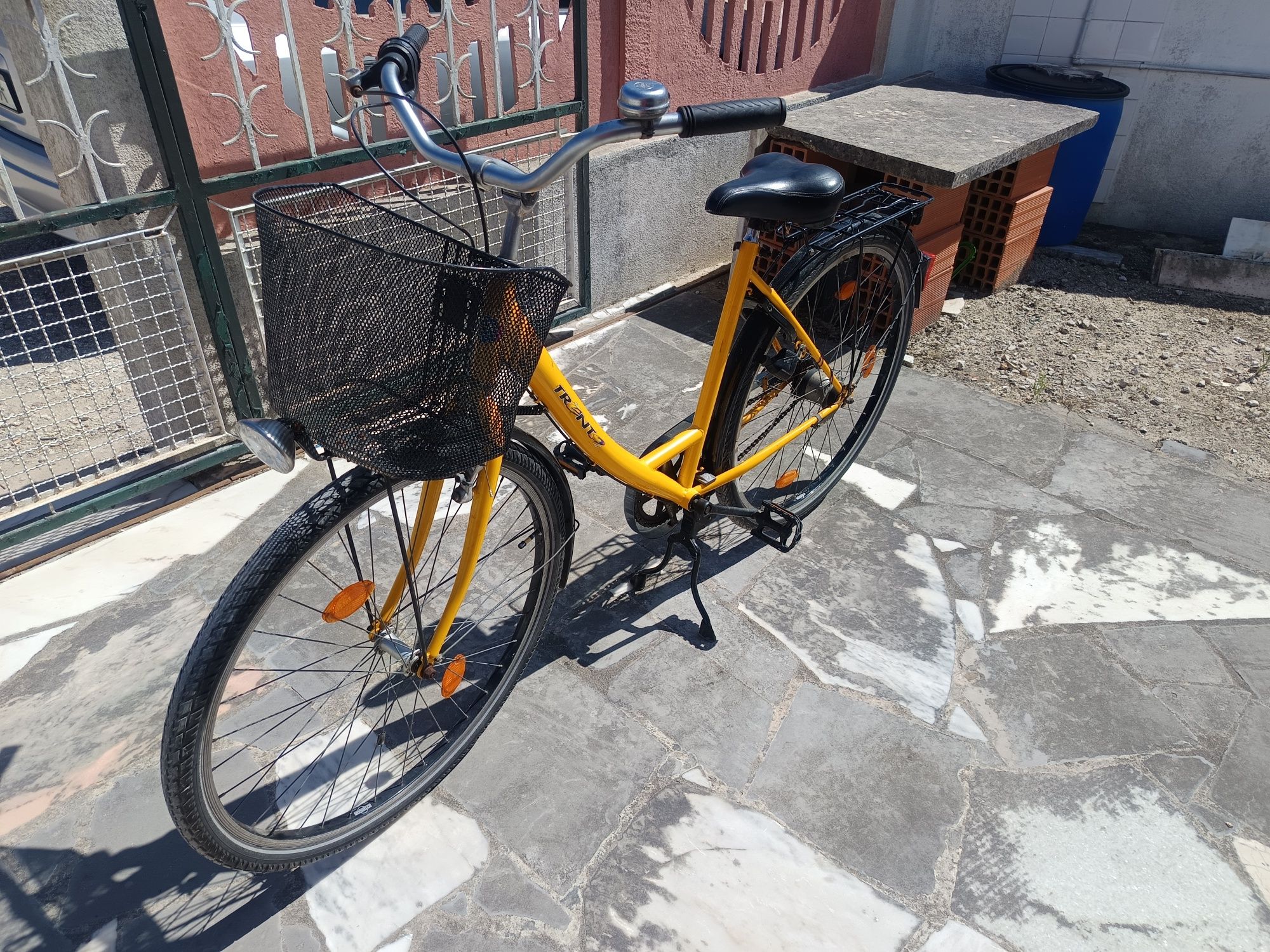 Bicicleta tipo pasteira