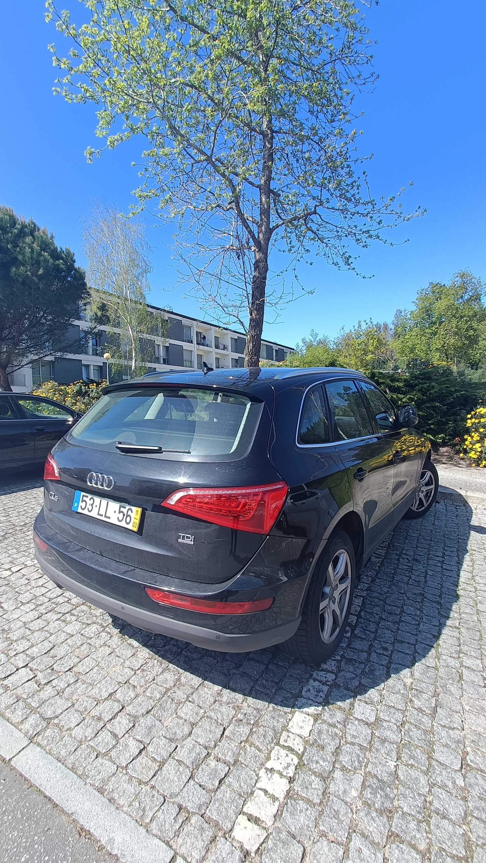 Viatura Audi Q5 2.0 TDI