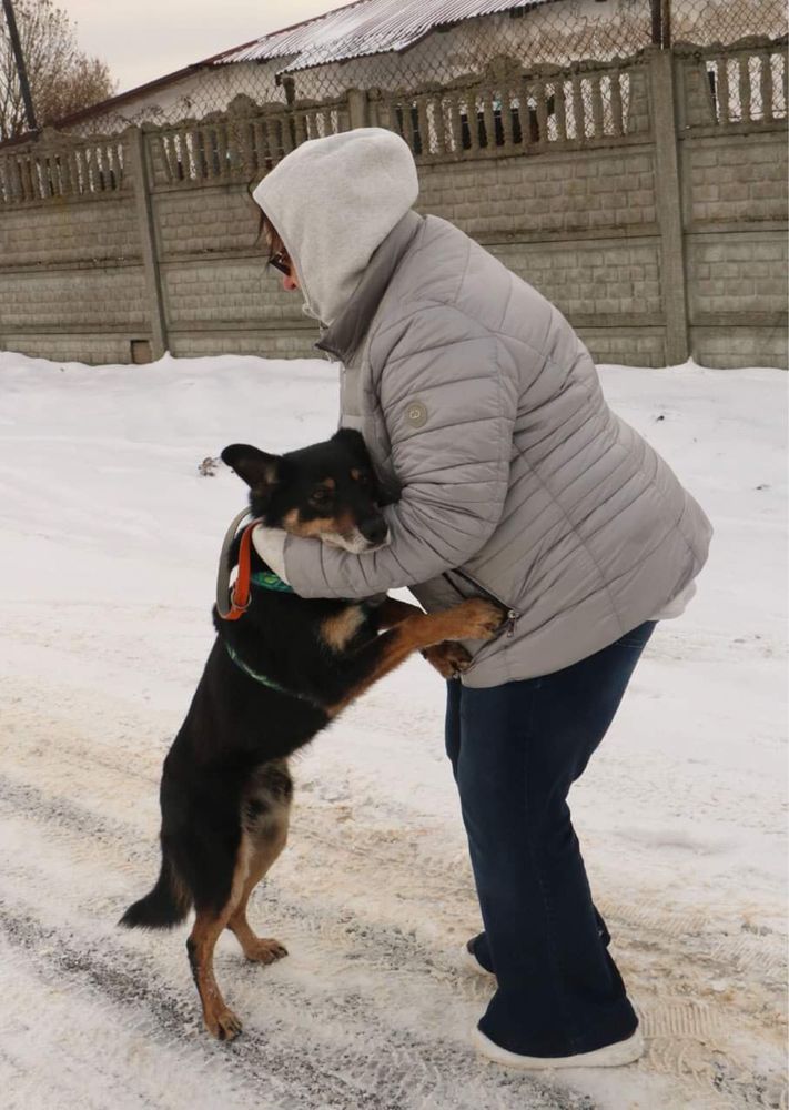 Przyjacielski 5 letni Staś do adopcji