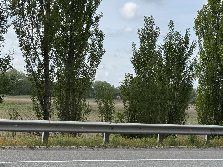 Земельна ділянка.Фасад ! 8га! с.Микуличі