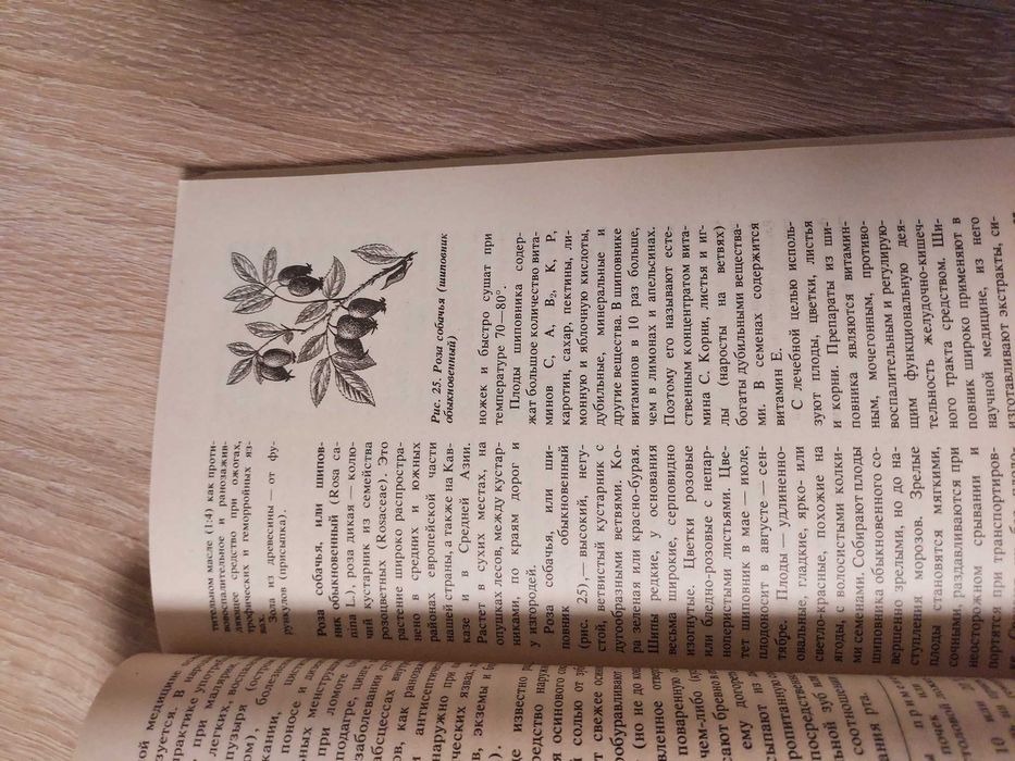 Лечебние целебние растения  А.П.Попов
