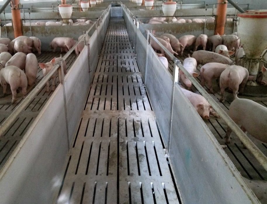 Aktywator gnojowicy AMU- Bardzo mocny i sprawdzony,przyspiesza rozkład