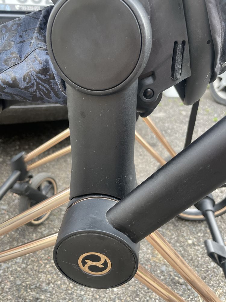 Cybex Priam 4.0 Jewels of nature