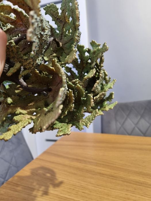 Dąb drzewo schleich