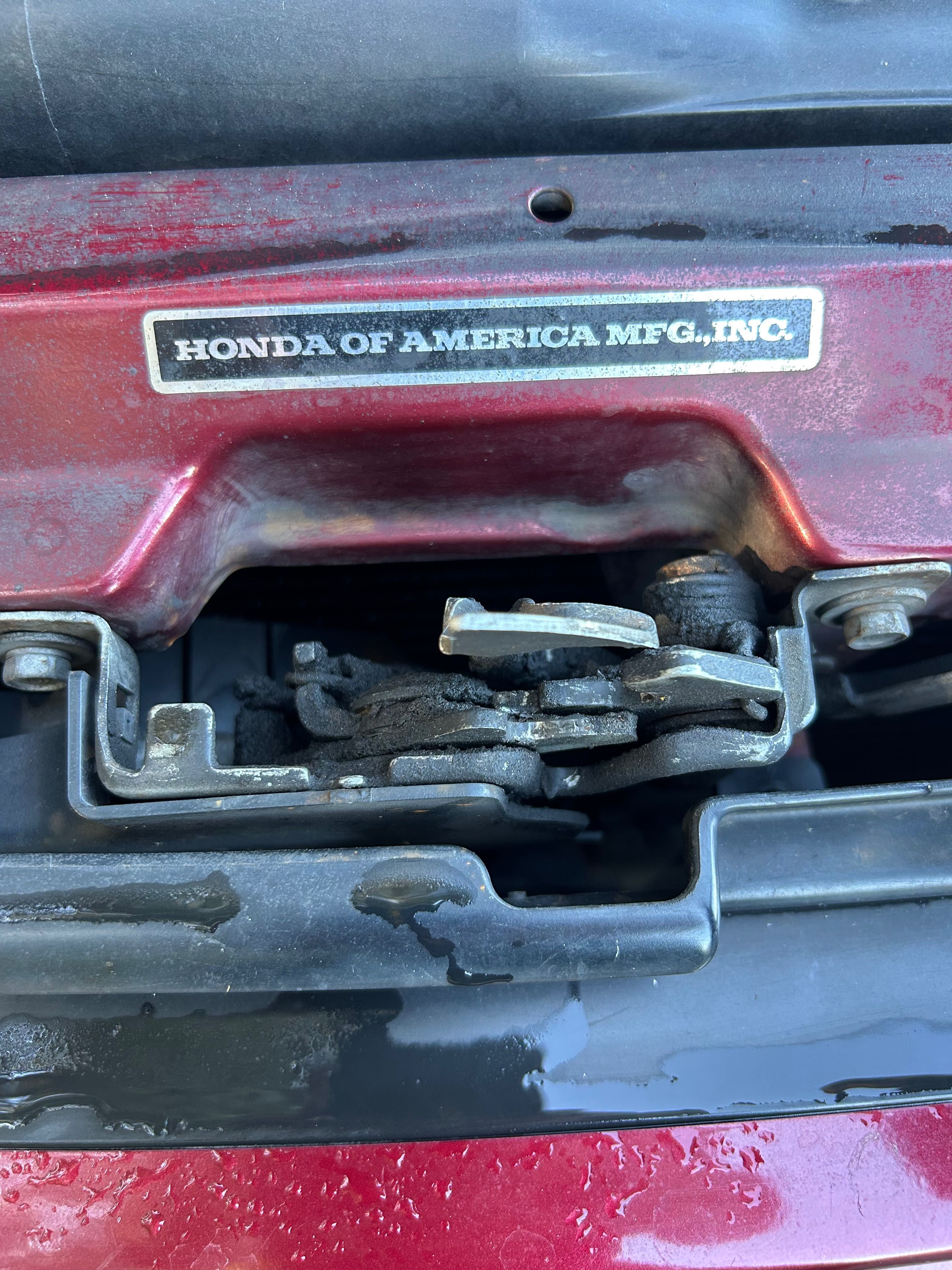 Honda accord coupe
